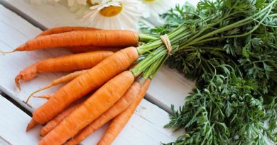 Gluteenittomat porkkanaletut